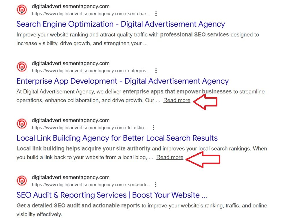 Google Search Results Snippet